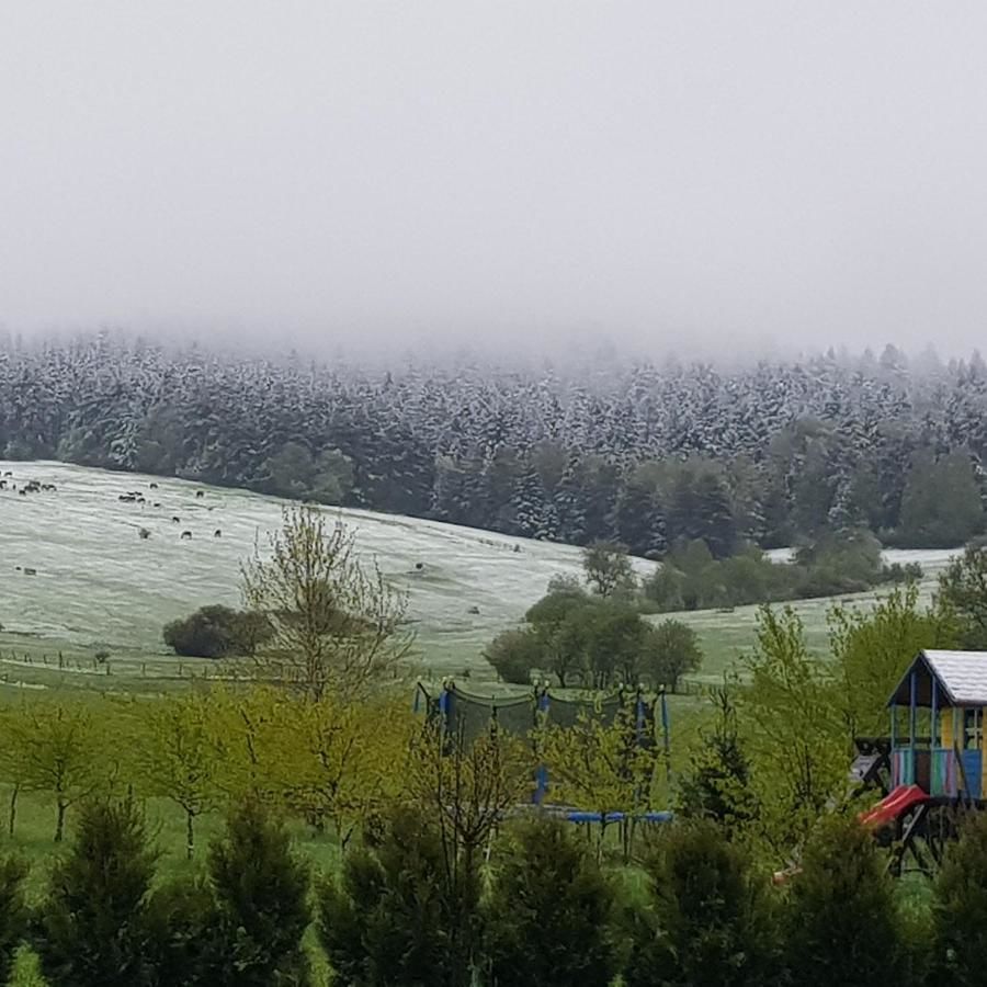 Отели типа «постель и завтрак» Agroturystyka Malowane Wierchy Gładyszów-37