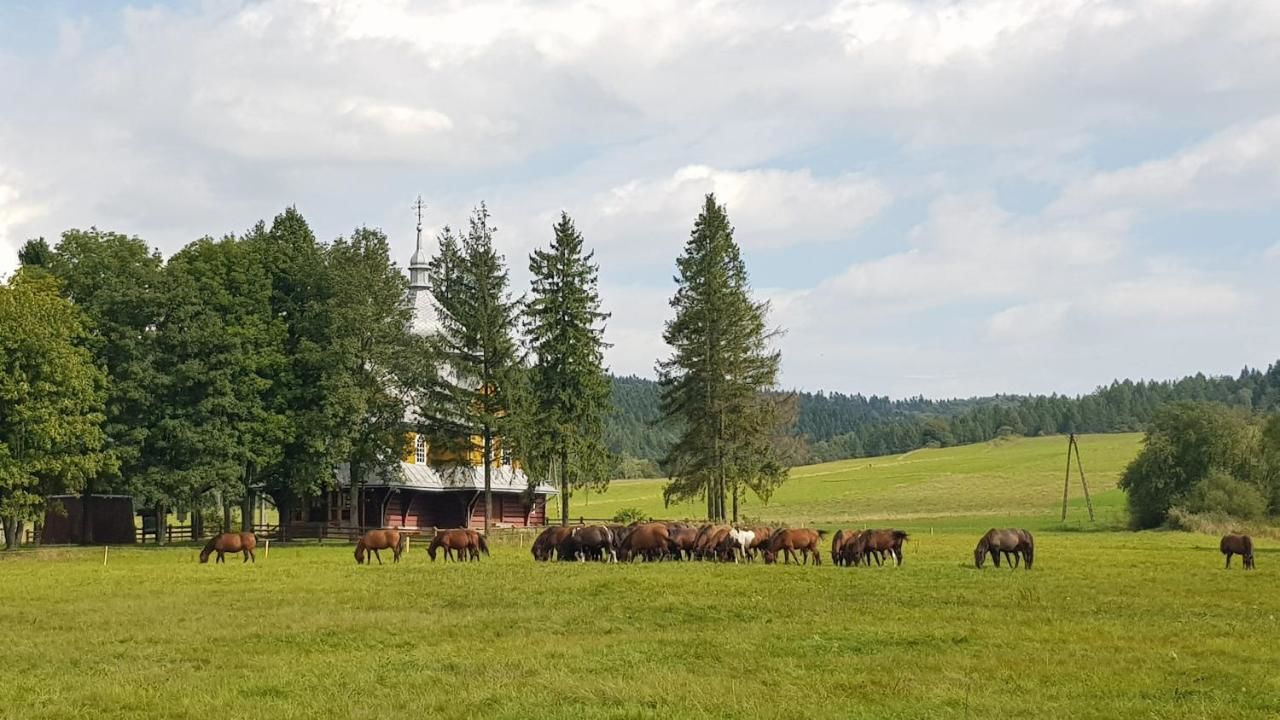 Отели типа «постель и завтрак» Agroturystyka Malowane Wierchy Gładyszów-38